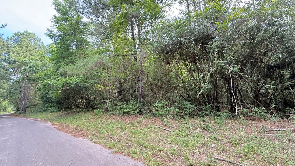 R008027 County Road 20 Property Photo 3