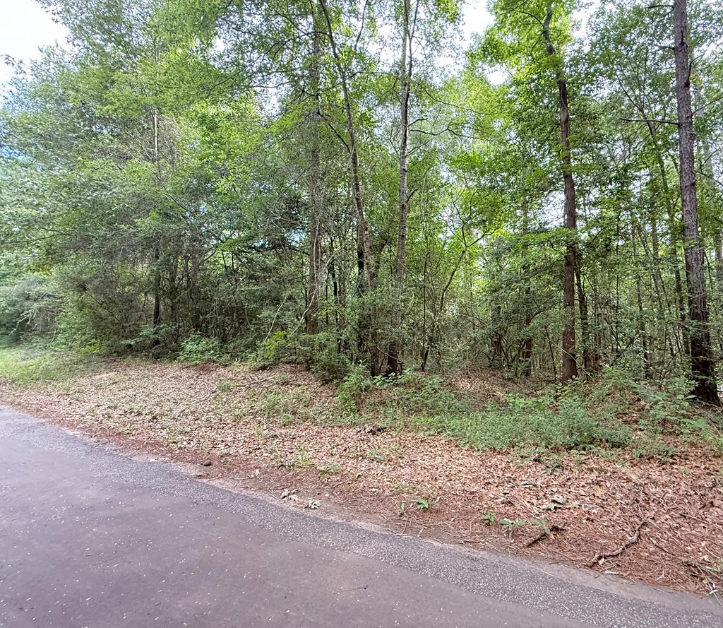 R008027 County Road 20 Property Photo 6