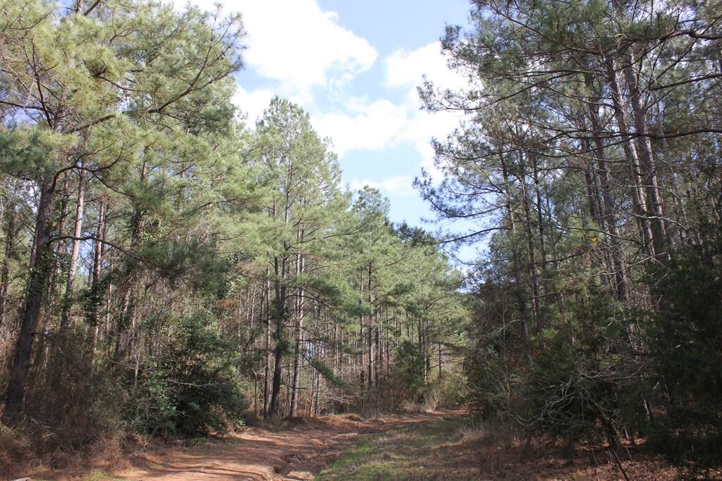 Pid 7331 Us 59 N Property Photo 1