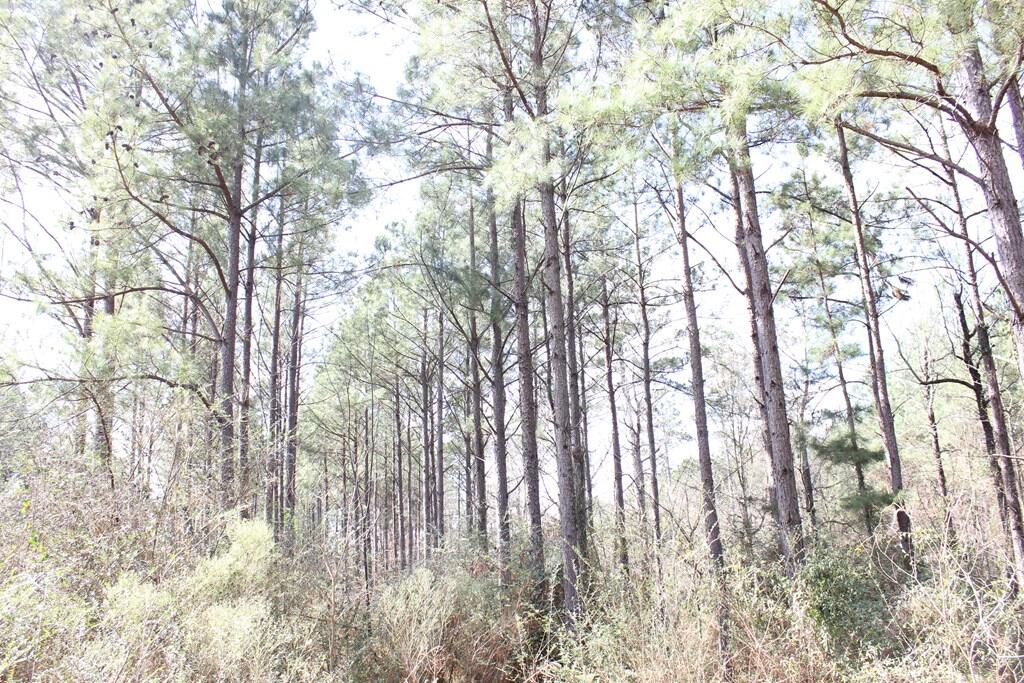 Pid 7331 Us 59 N Property Photo 2