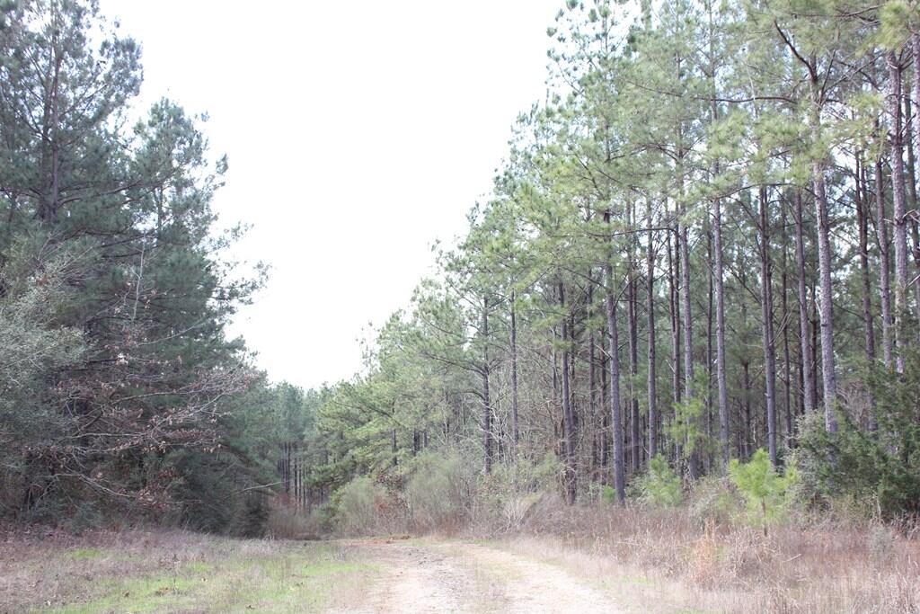 Pid 7331 Us 59 N Property Photo 4