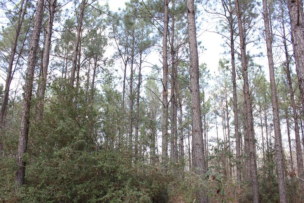 Pid 7331 Us 59 N Property Photo 5