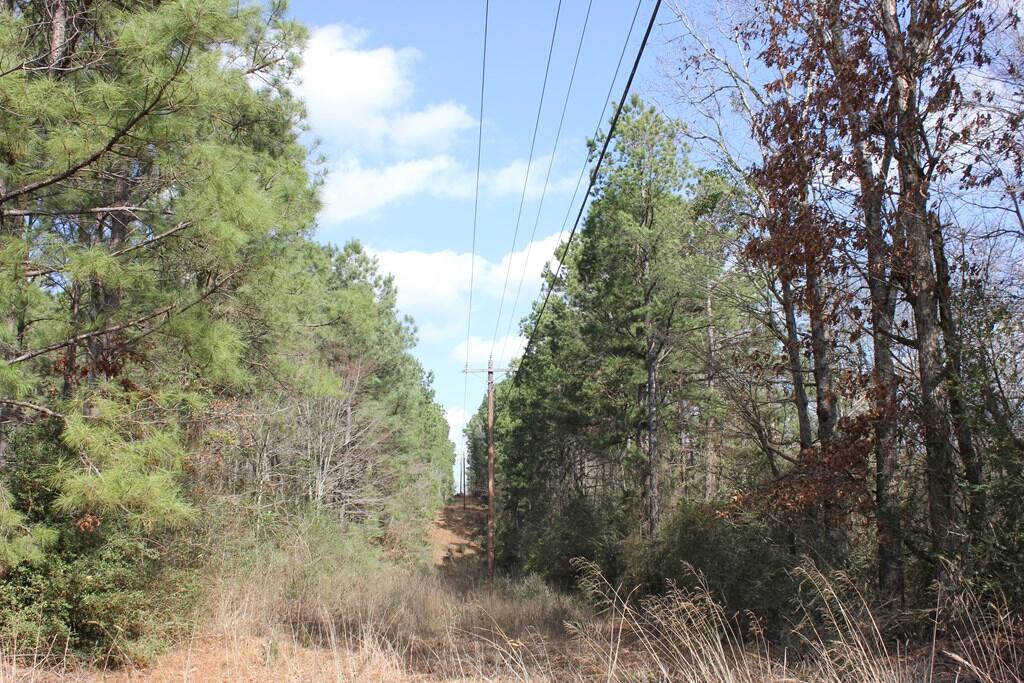 Pid 7331 Us 59 N Property Photo 8