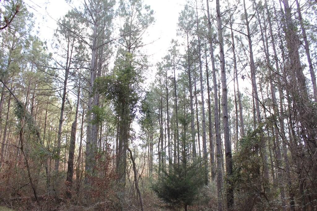 Pid 7331 Us 59 N Property Photo 11