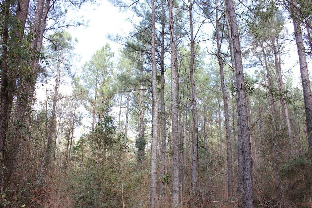 Pid 7331 Us 59 N Property Photo 12