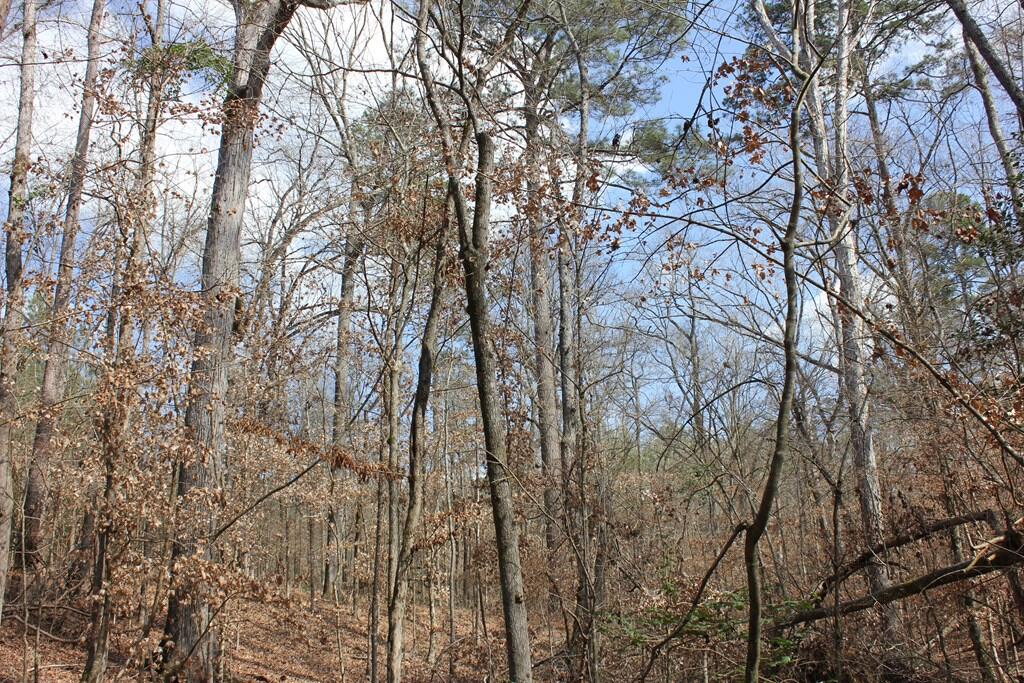 Pid 7331 Us 59 N Property Photo 15