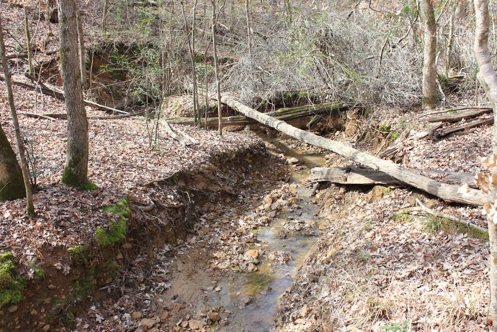 Pid 7331 Us 59 N Property Photo 16