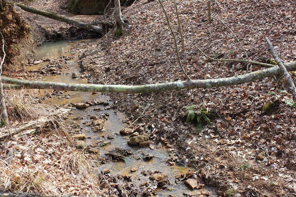 Pid 7331 Us 59 N Property Photo 17