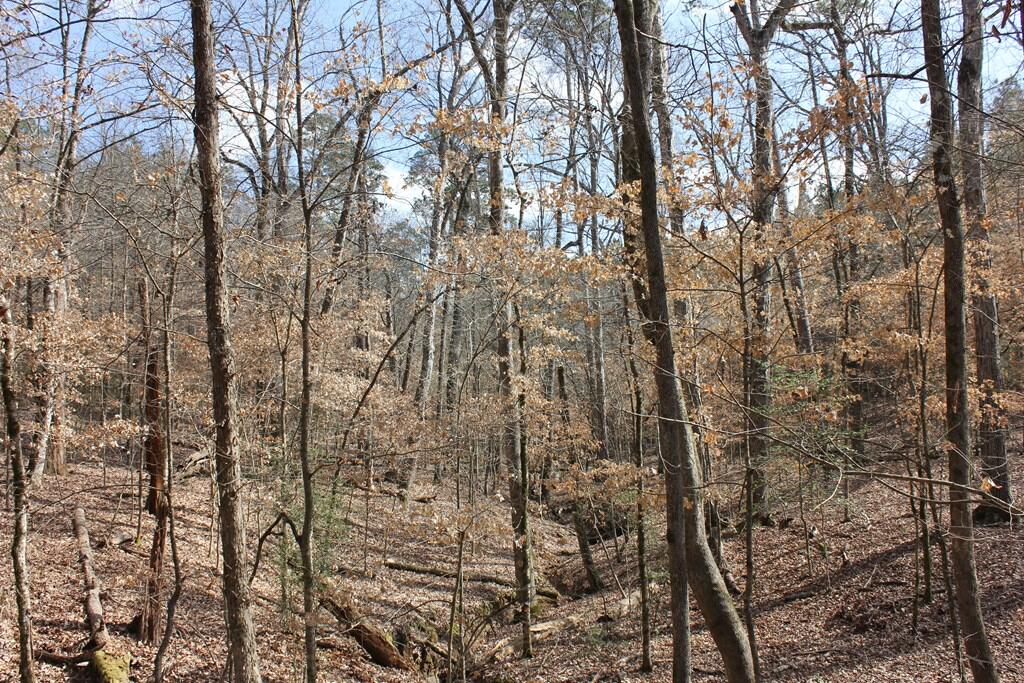 Pid 7331 Us 59 N Property Photo 18
