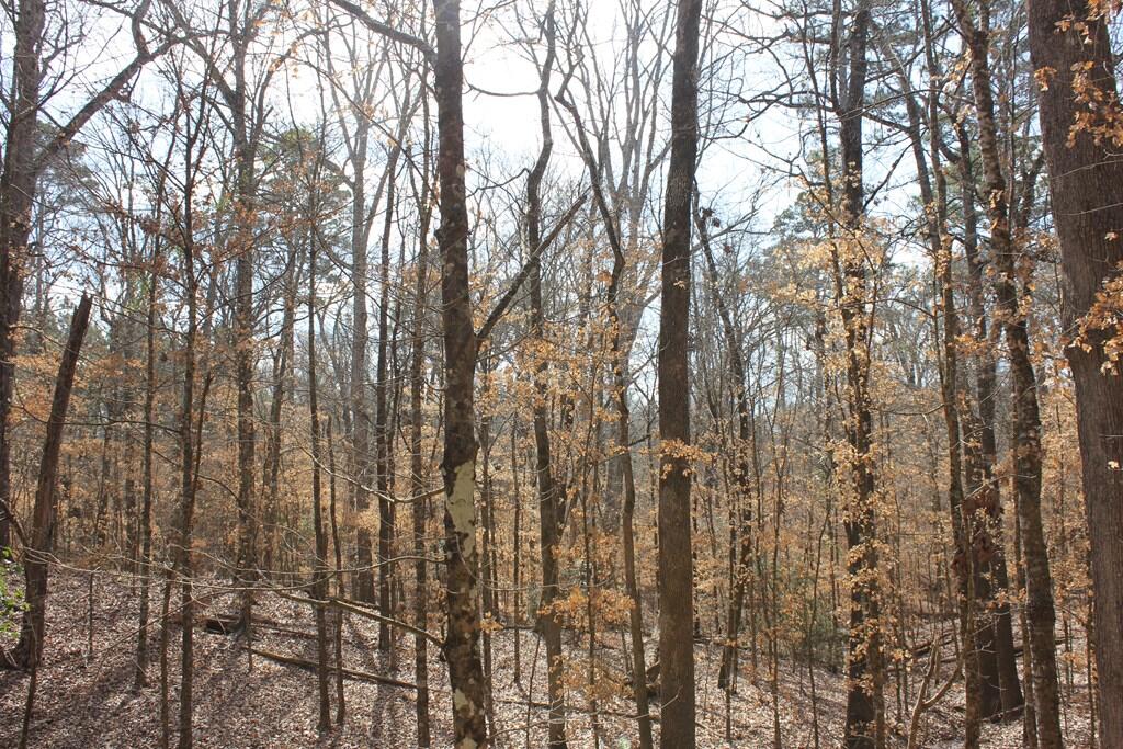 Pid 7331 Us 59 N Property Photo 19