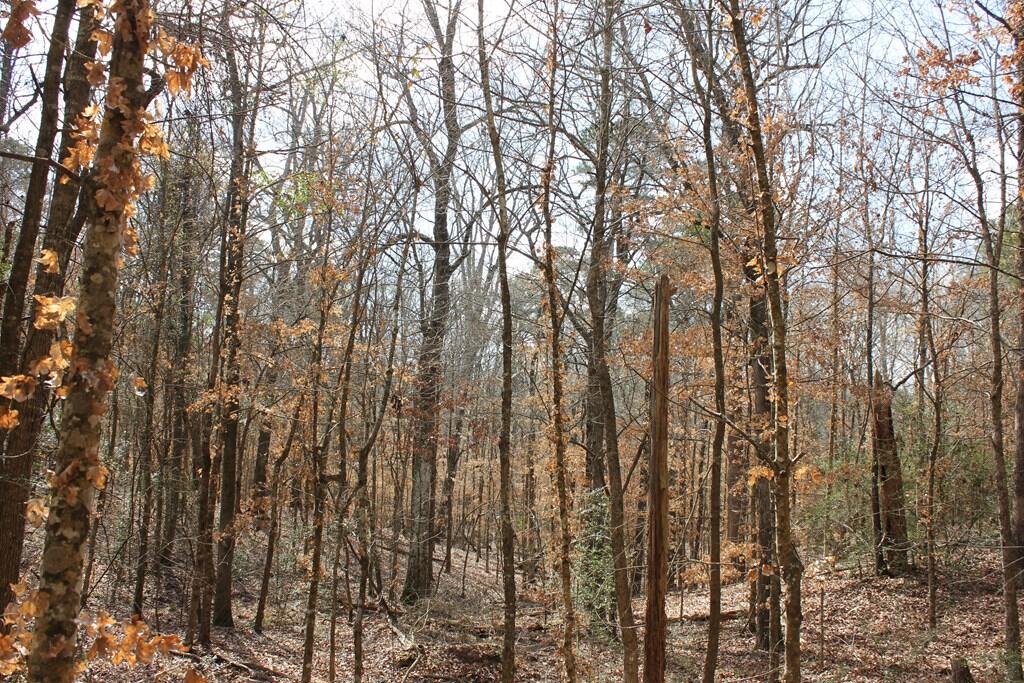 Pid 7331 Us 59 N Property Photo 20