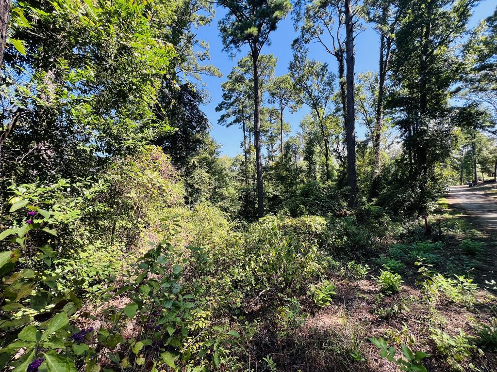 244 Pine Cone Lane Property Photo 4