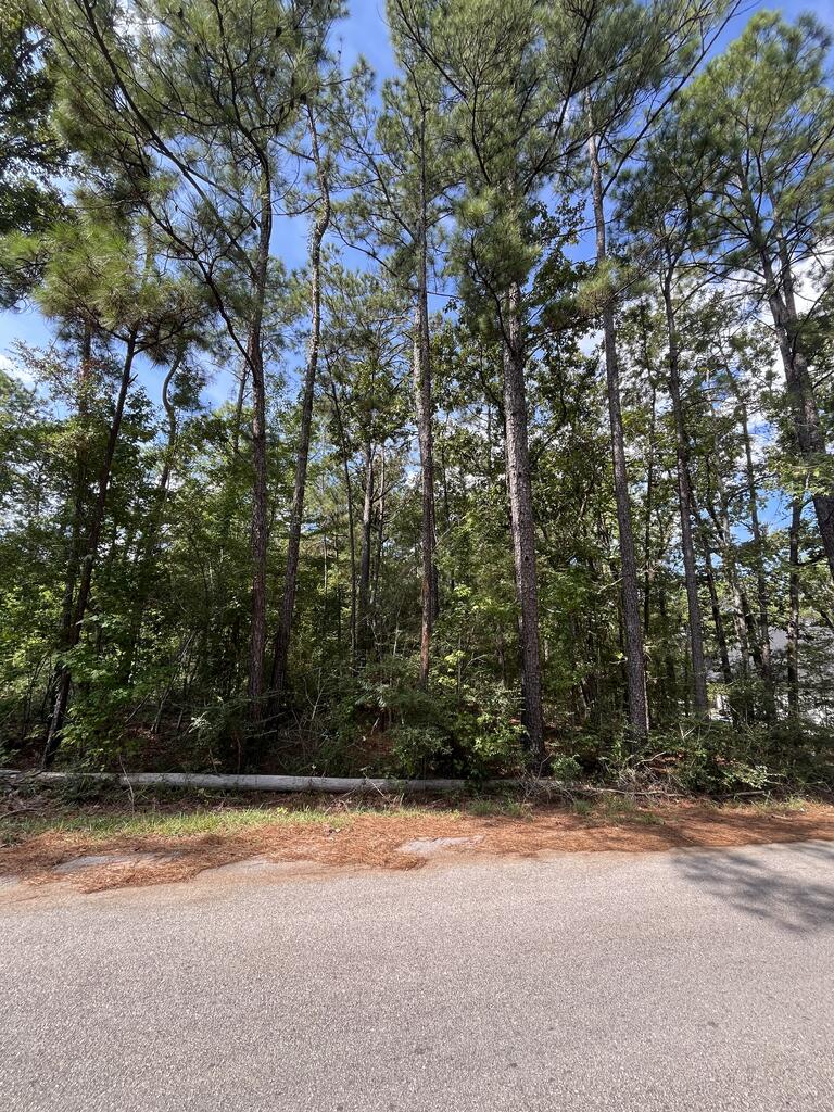 PID #32464 Duffer Drive Property Photo 1