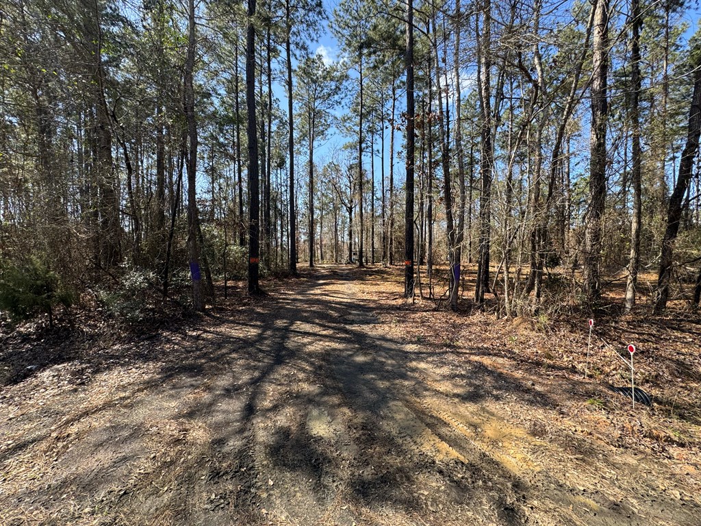 Pid 28432 Old 705 Property Photo 6