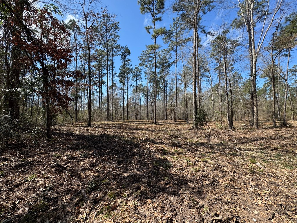 Pid 28432 Old 705 Property Photo 12