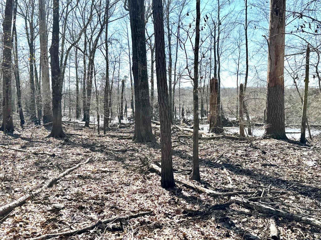 Pid 28432 Old 705 Property Photo 22