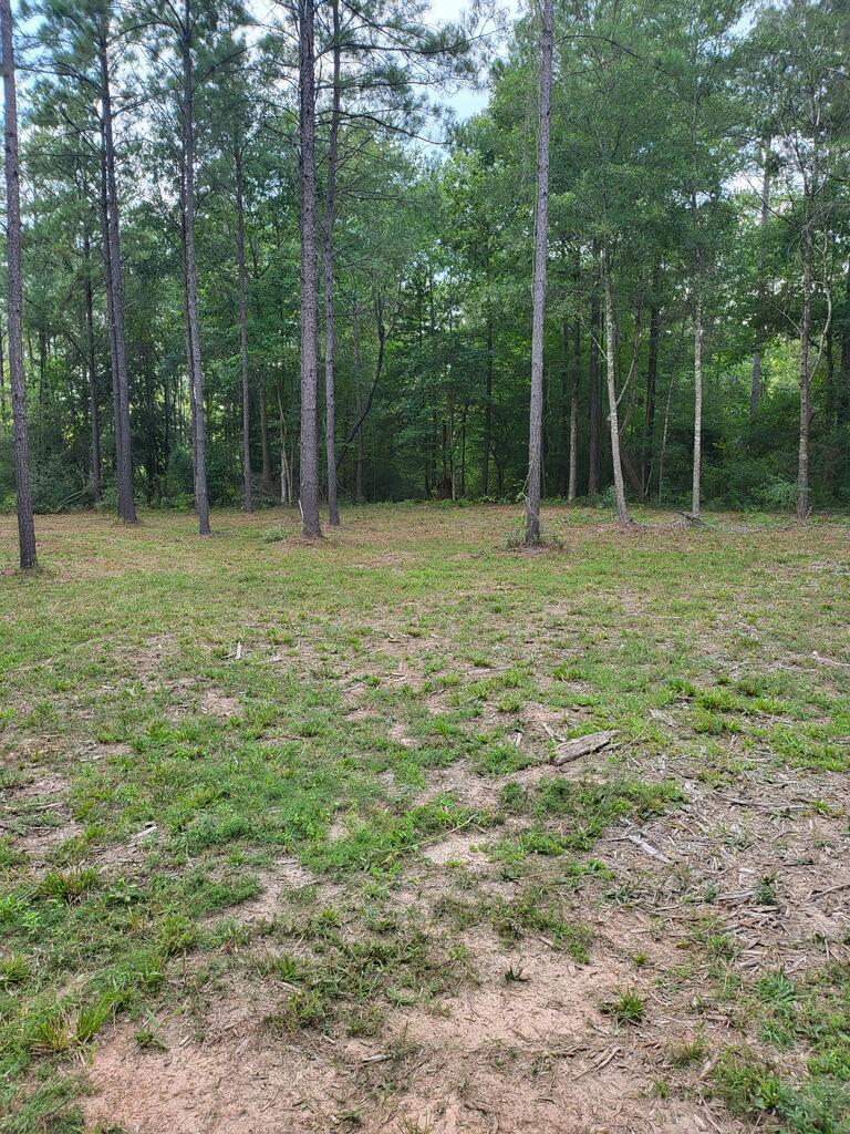 373312 Cr 3160 Property Photo 1