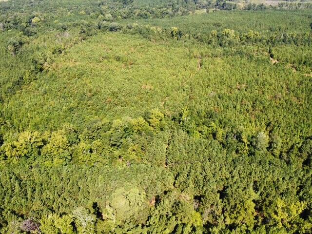 48 Lickskillet Road Property Photo 1