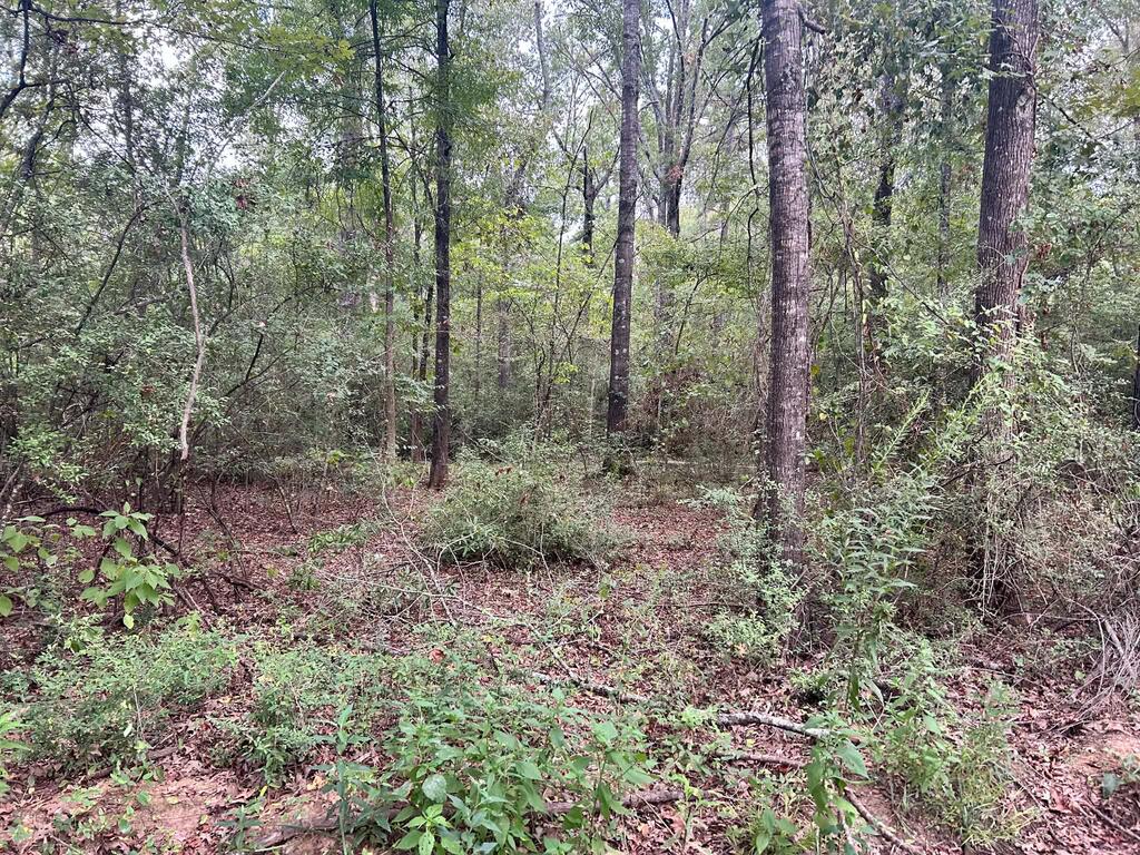 113 County Road 3460 Property Photo 1