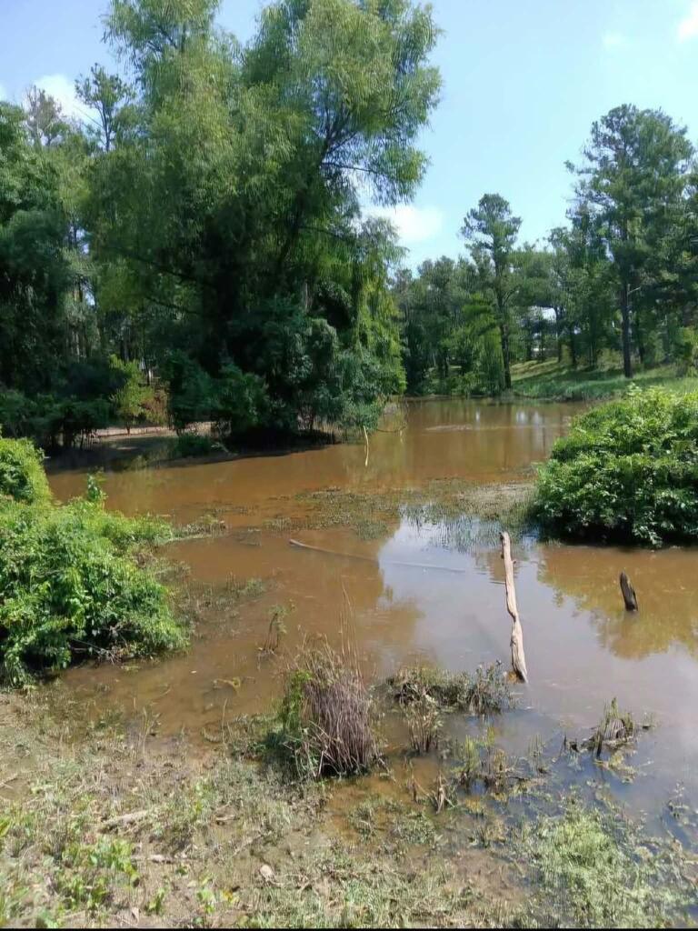 909 Whooping Crane Road Property Photo 1