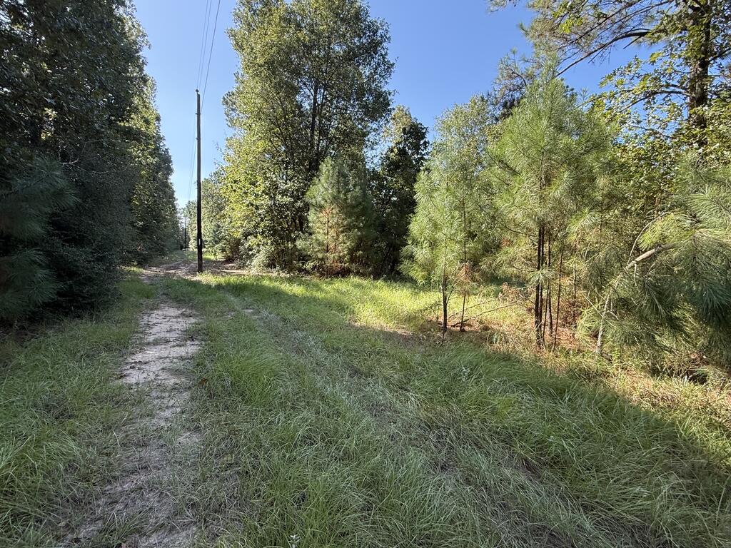 Parcel#31432 Cr 3385 Property Photo 1