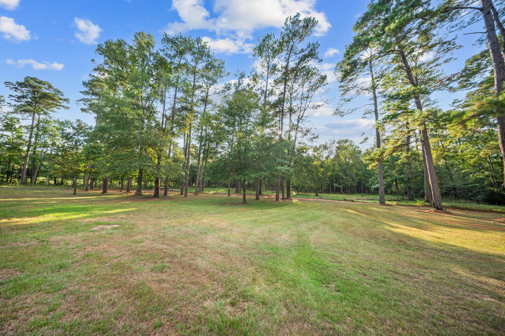 453 Fm 1747 Property Photo 32