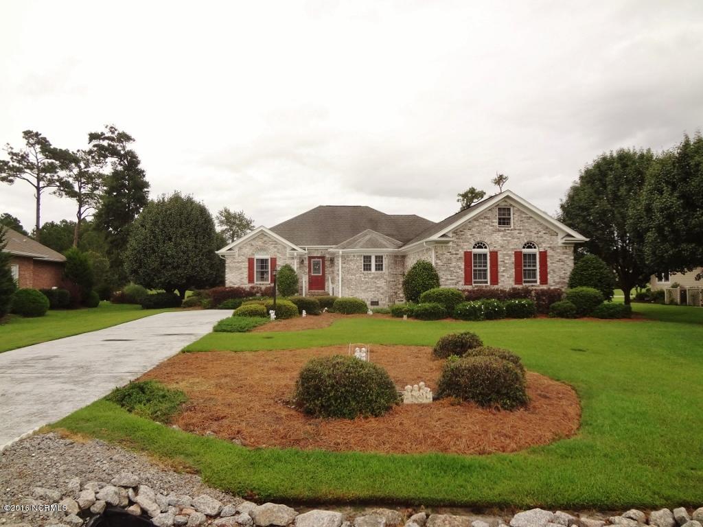 294 Crooked Gulley Circle Property Photo 1
