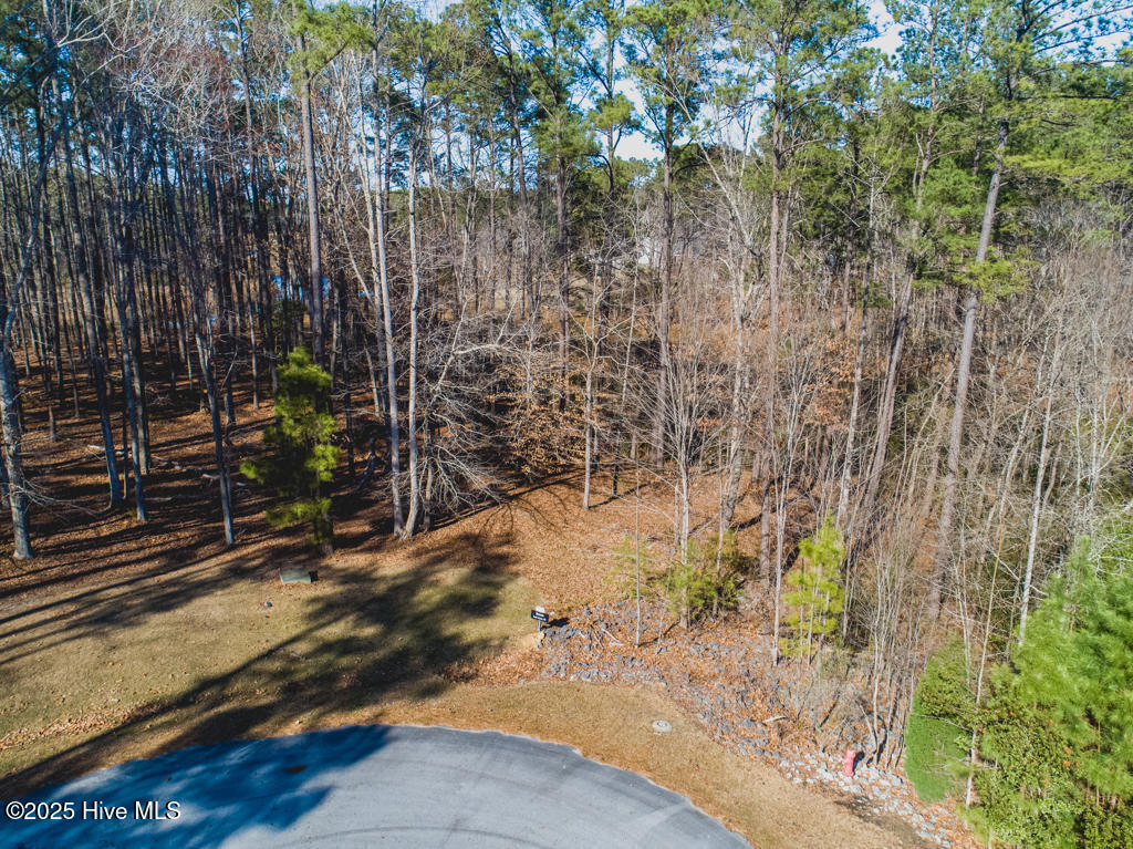 220 Golden Fern Lane Property Photo 3