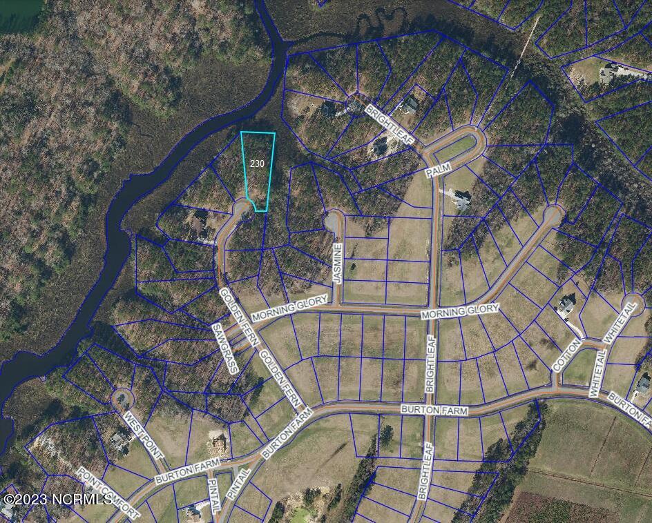 220 Golden Fern Lane Property Photo 7