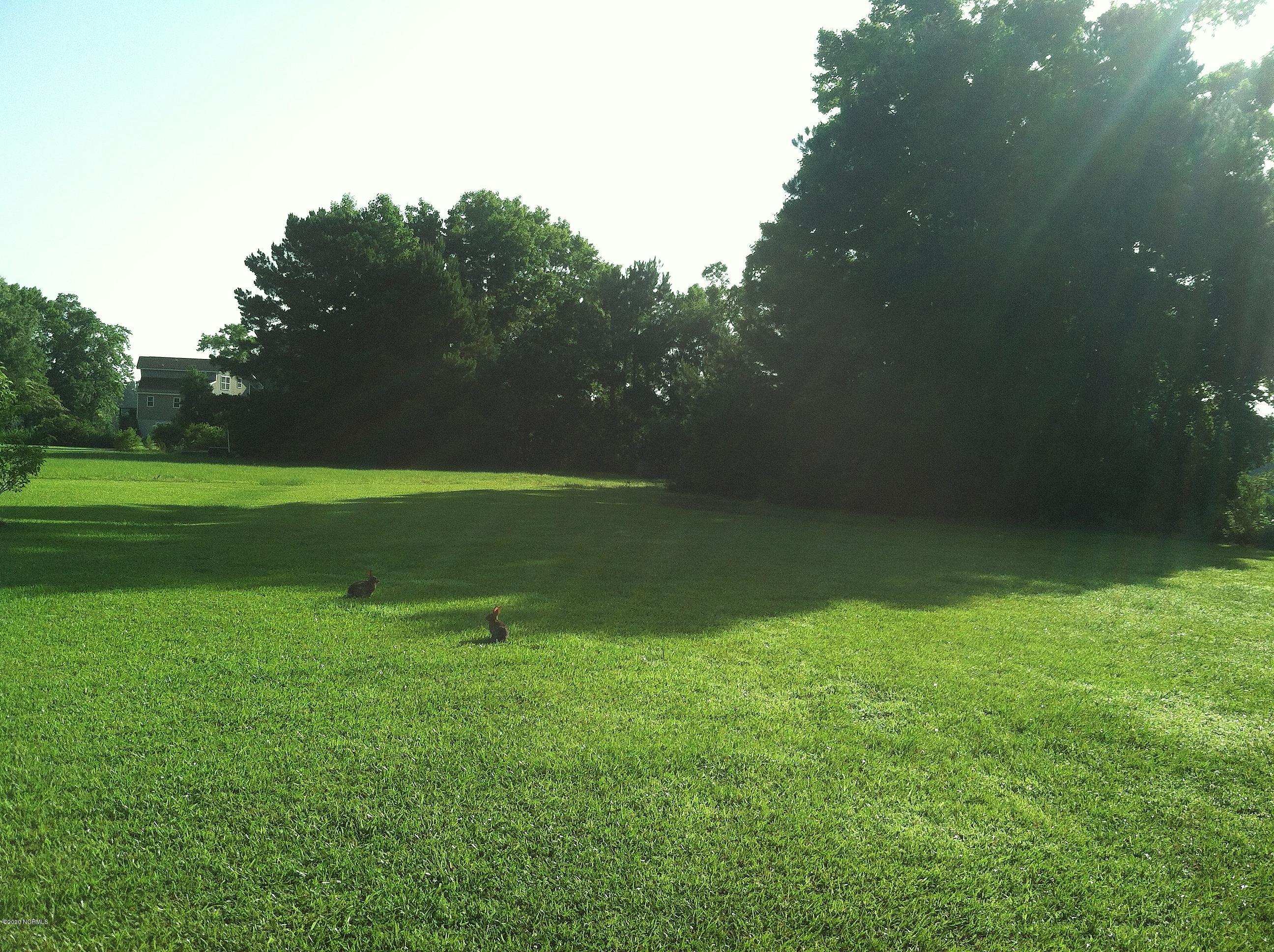 1311 31 Blackbeard Drive Property Photo 7