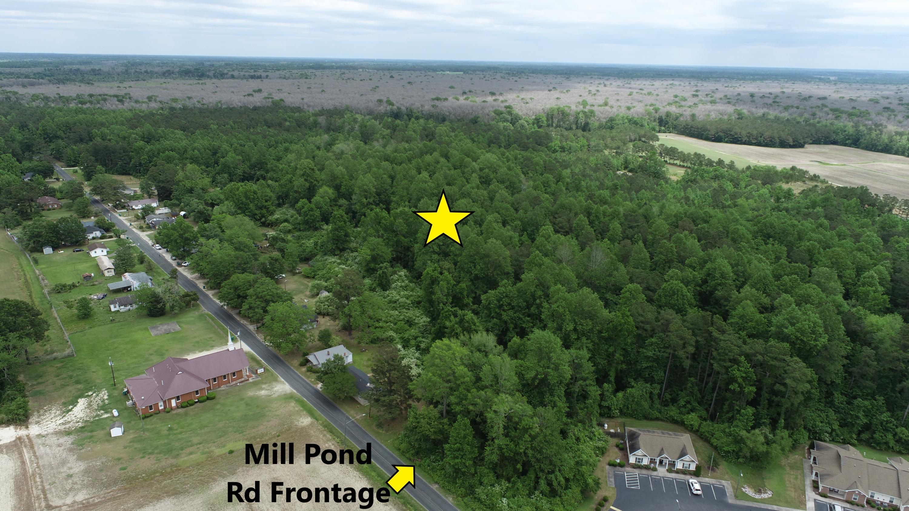 13.2 Acres Mill Pond Road Property Photo 2