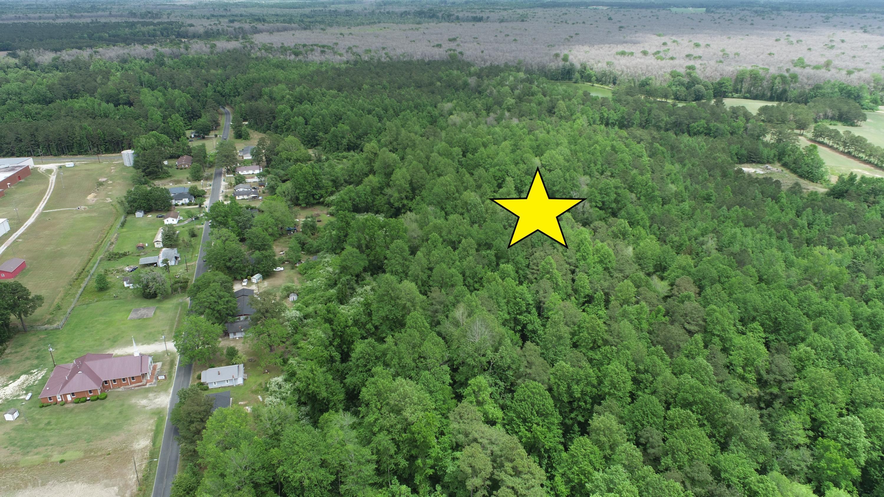 13.2 Acres Mill Pond Road Property Photo 4