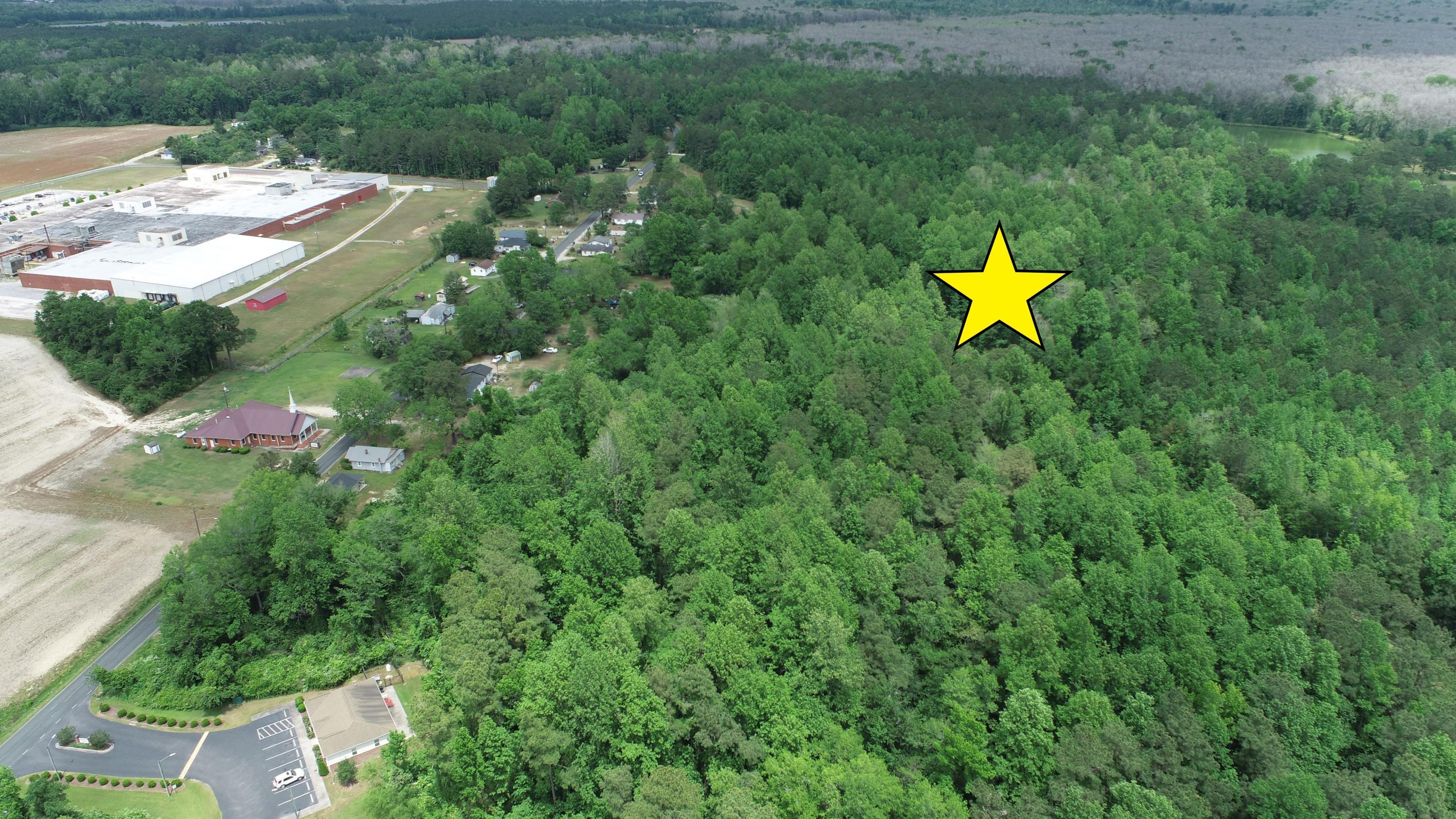 13.2 Acres Mill Pond Road Property Photo 6