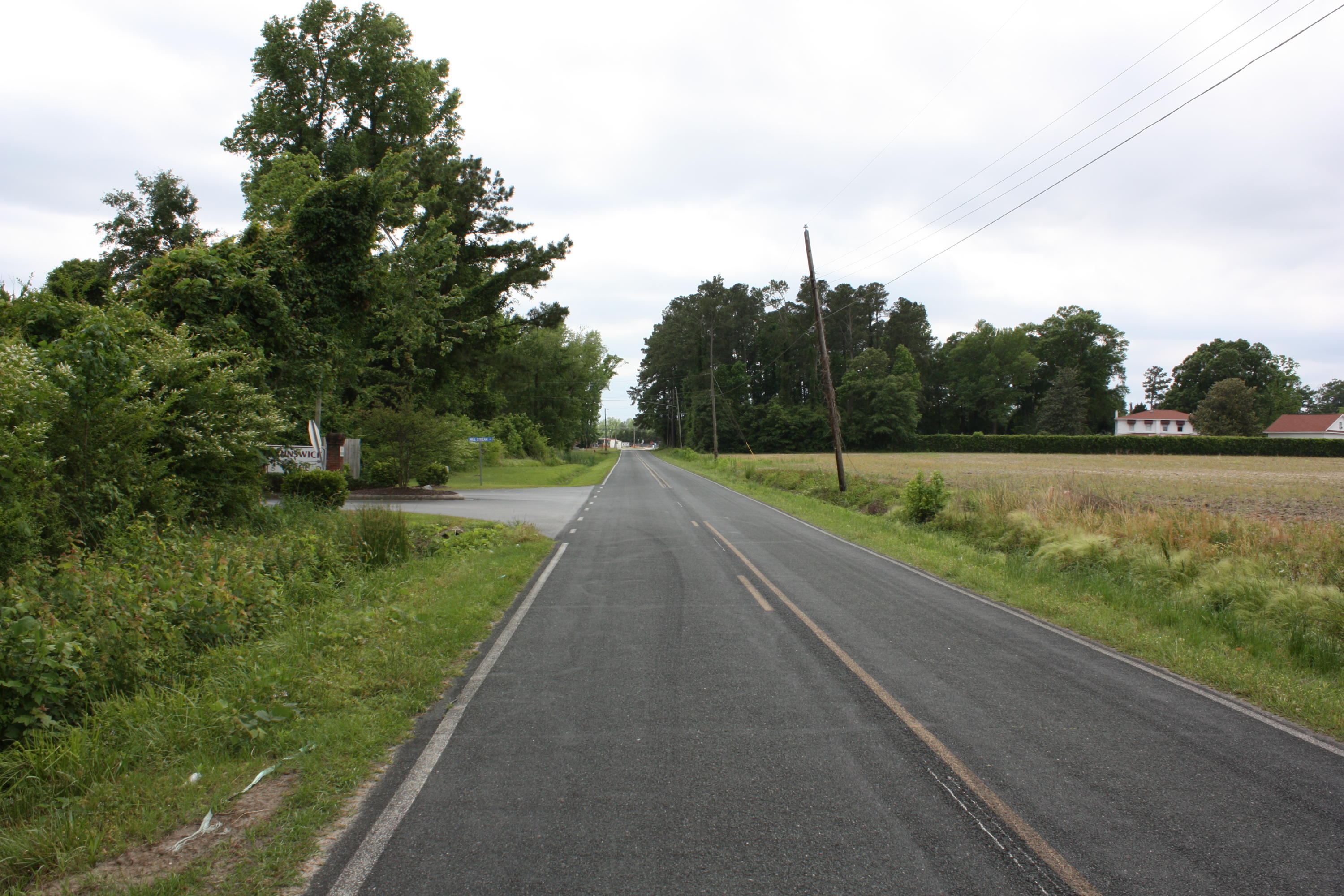 13.2 Acres Mill Pond Road Property Photo 8