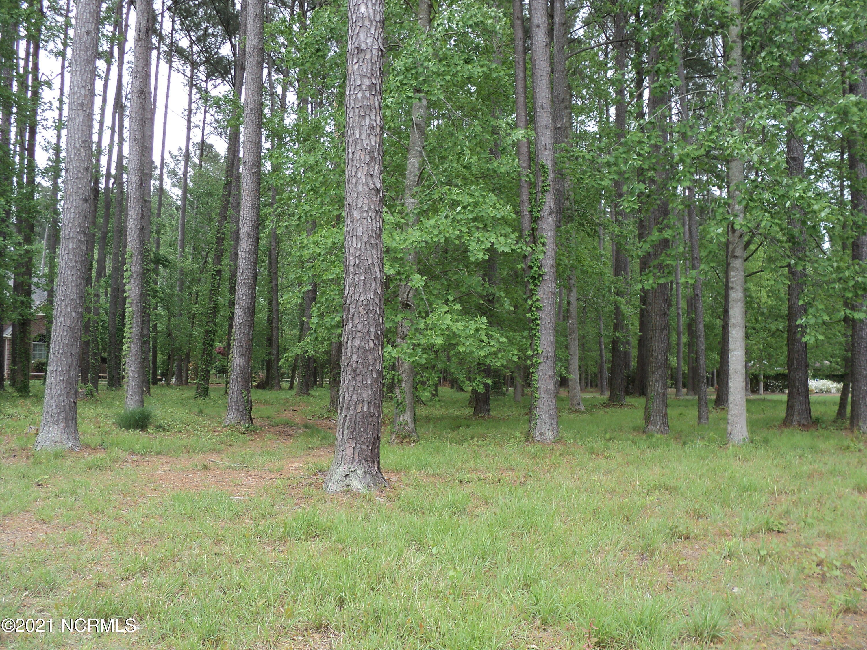 Lot 53 W Fairway Drive Property Photo 2