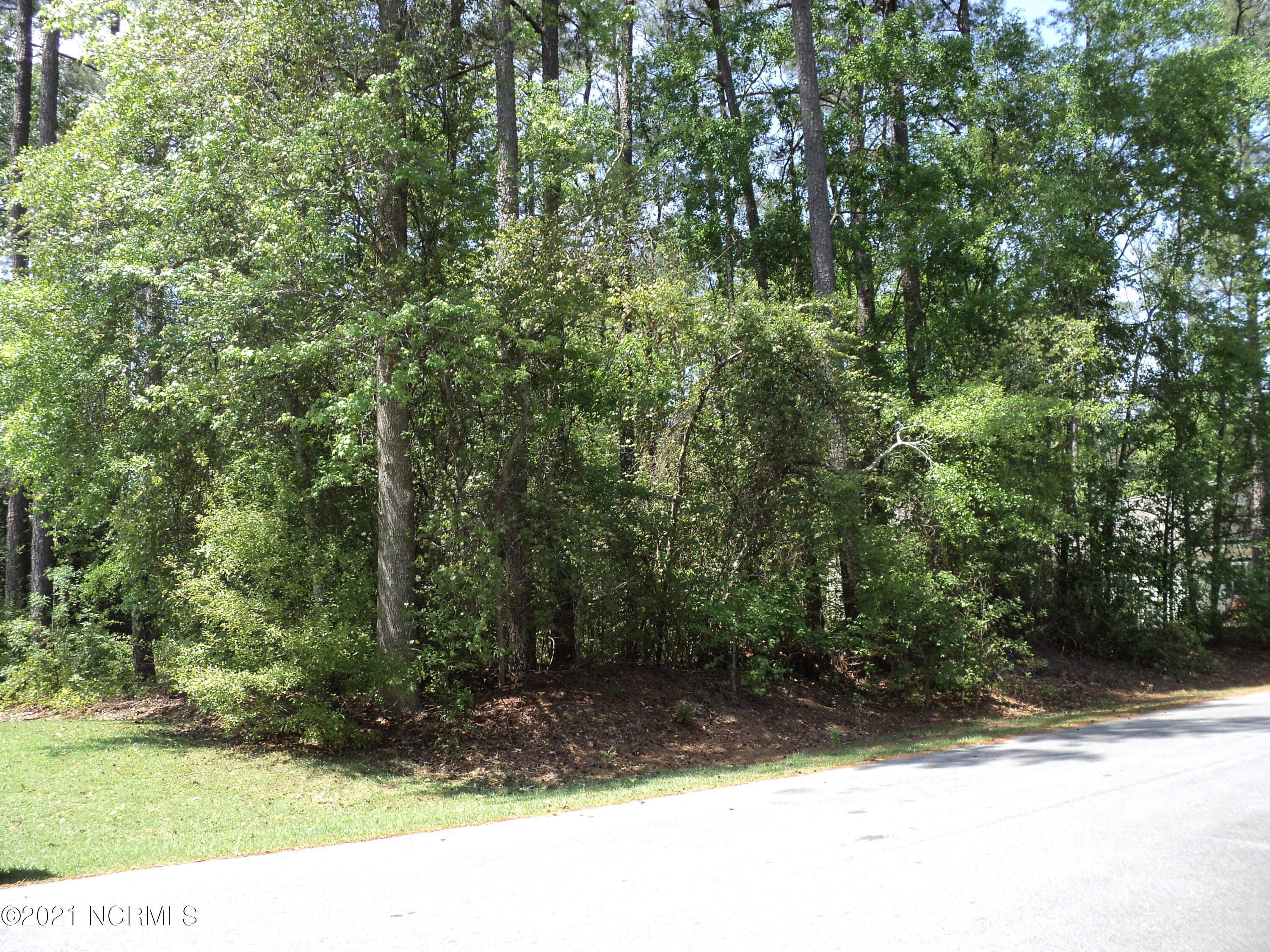 Lot 53 W Fairway Drive Property Photo 3