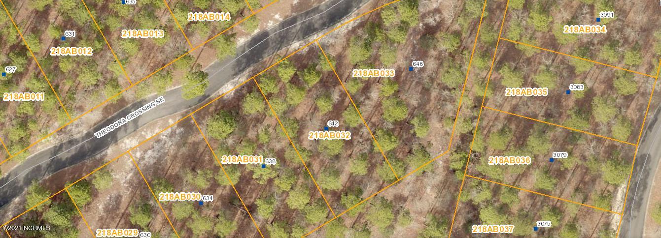 642 Theodora Crossing Property Photo
