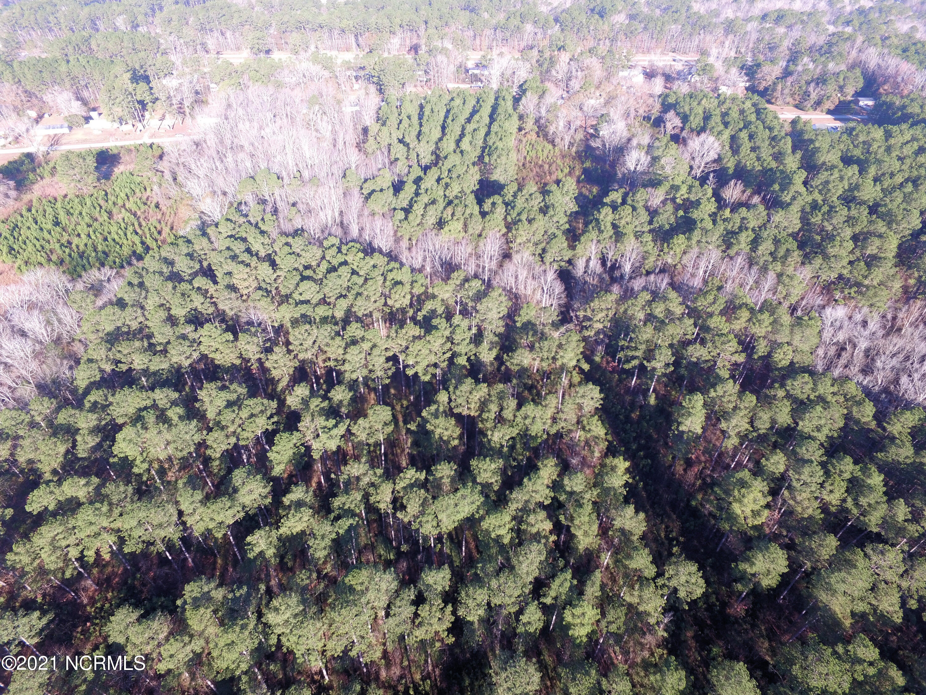 403 Old Pollocksville Road Property Photo 19