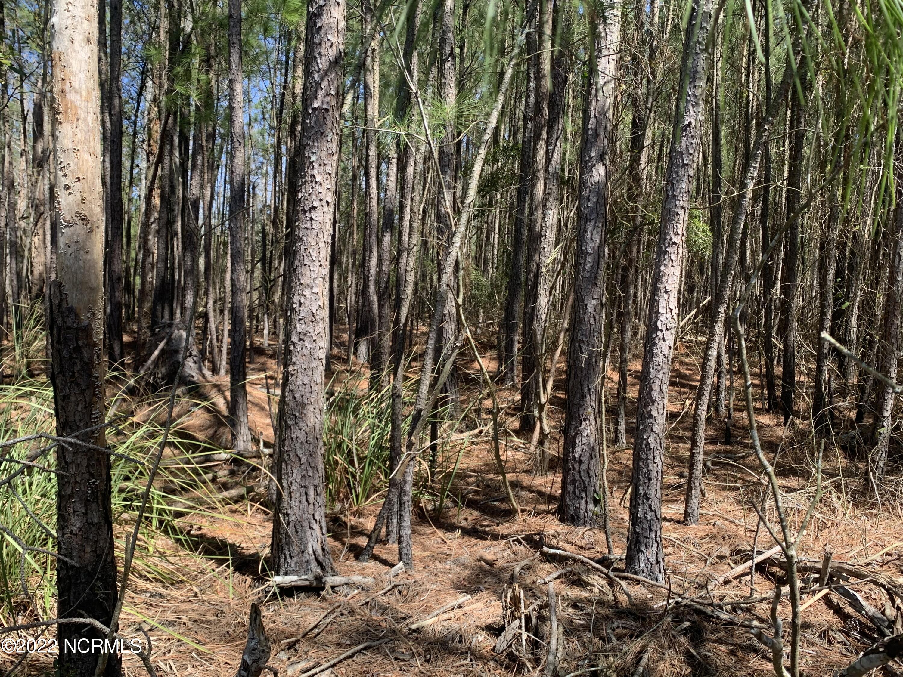 Lot 24 24 Bailey Pointe S/d Drive Property Photo 14