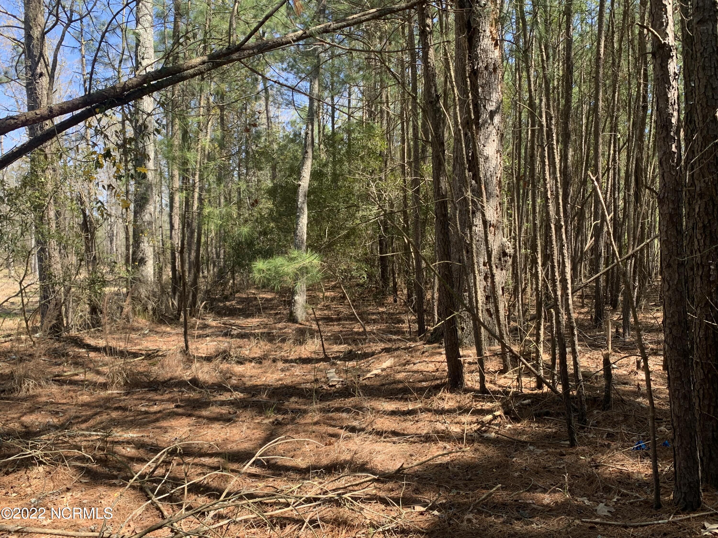 Lot 24 24 Bailey Pointe S/d Drive Property Photo 15