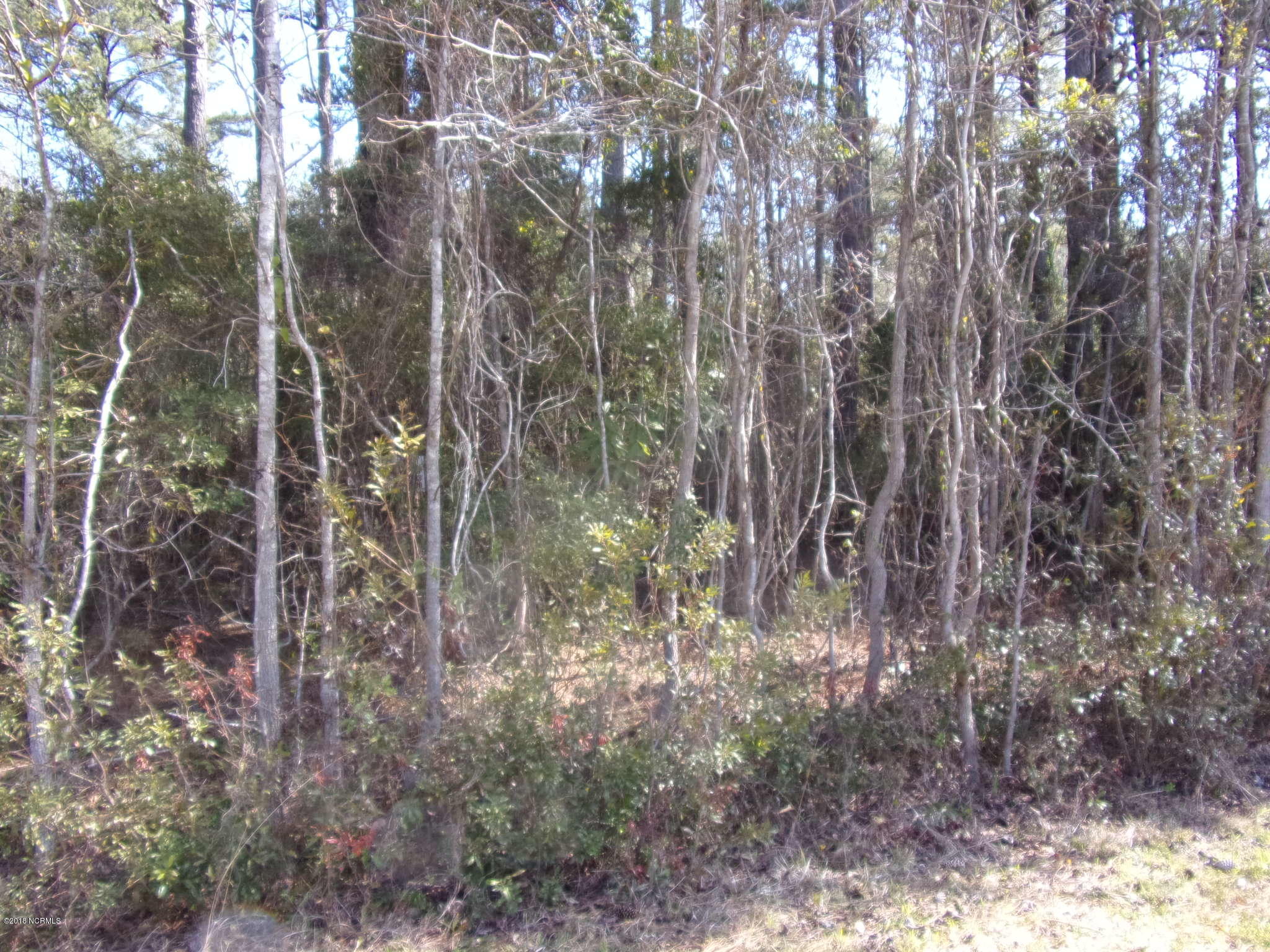 115 42 Cartuca Trail Property Photo 6