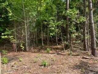 Tr-5 Persimmon Road Property Photo 1