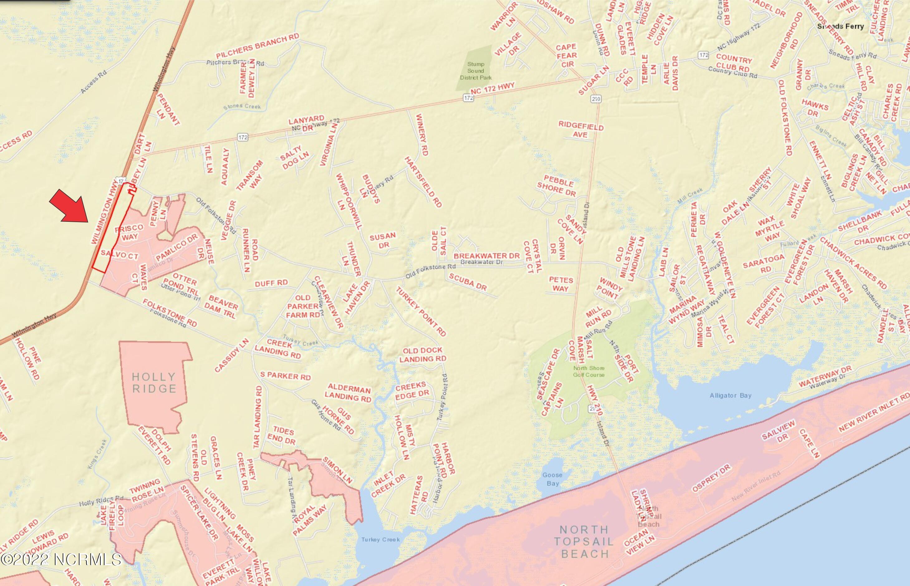 59.22 Acre Wilmington Highway Property Photo 4