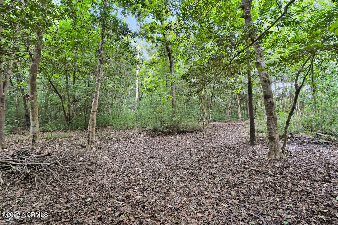 116 Spring Creek Lane Property Photo 1