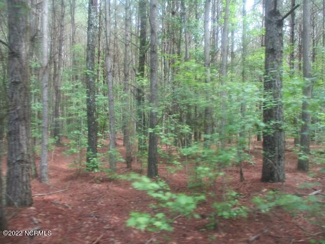 0 Old Mintz Highway Property Photo 1