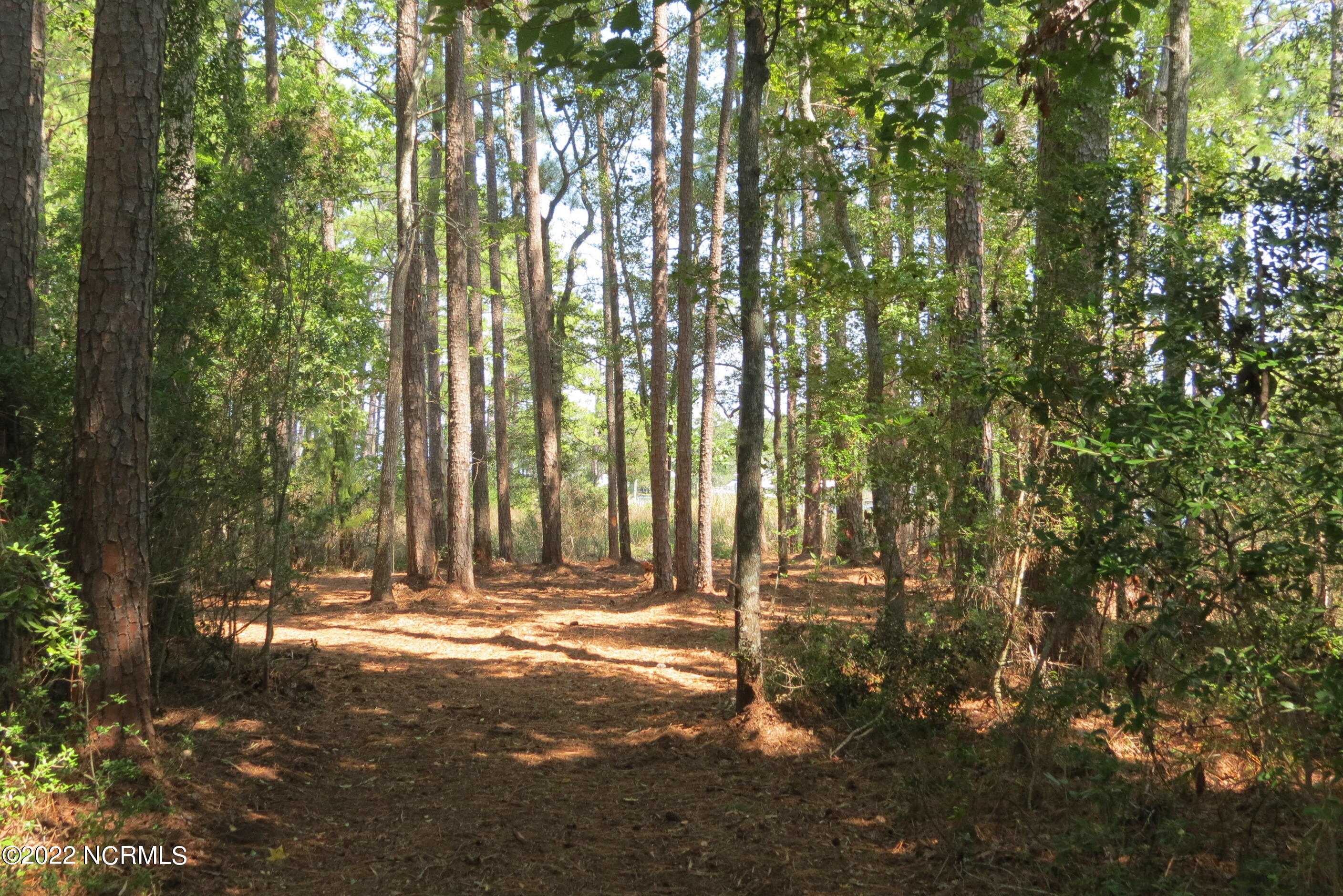0 Quail Road Property Photo 32