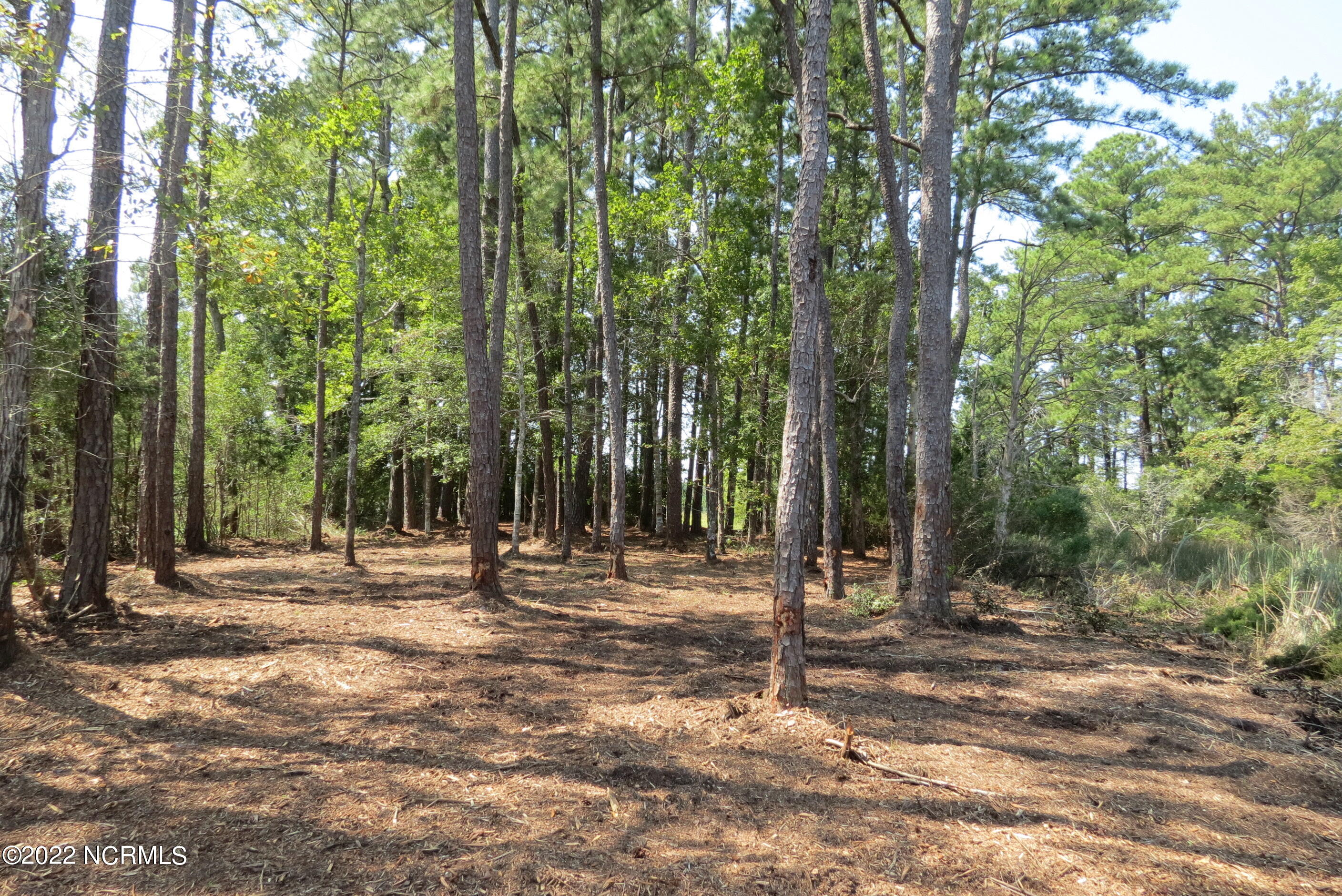 0 Quail Road Property Photo 36