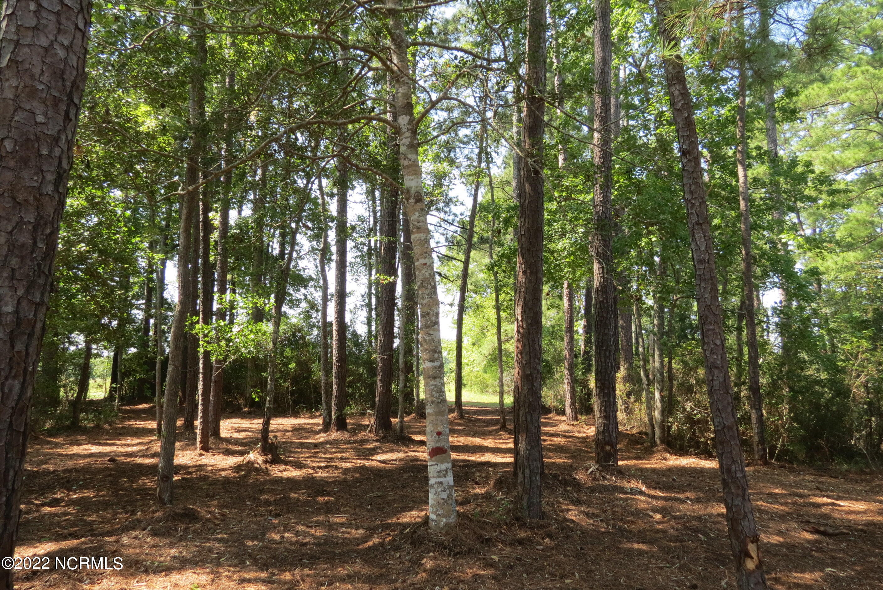 0 Quail Road Property Photo 37