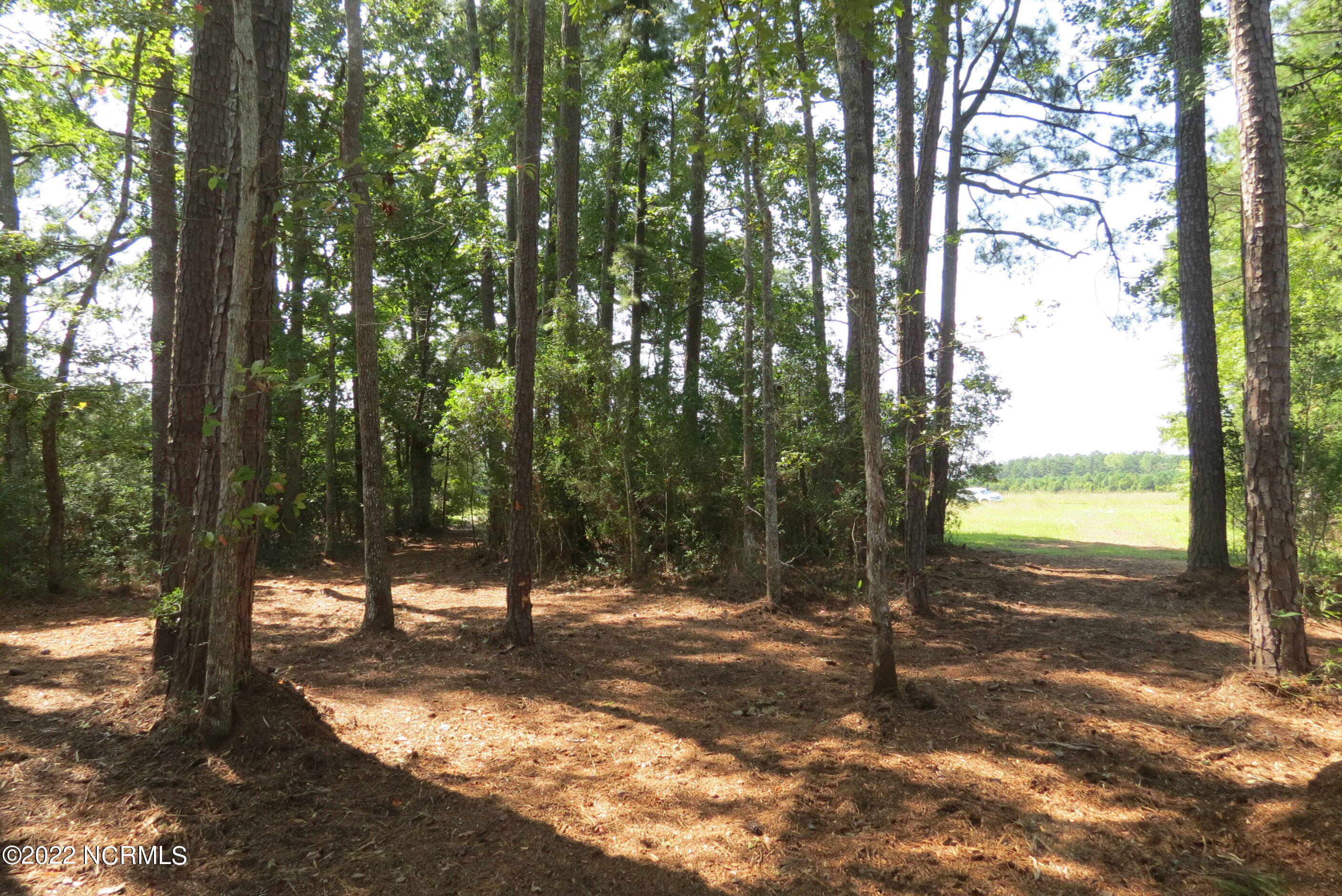 0 Quail Road Property Photo 42