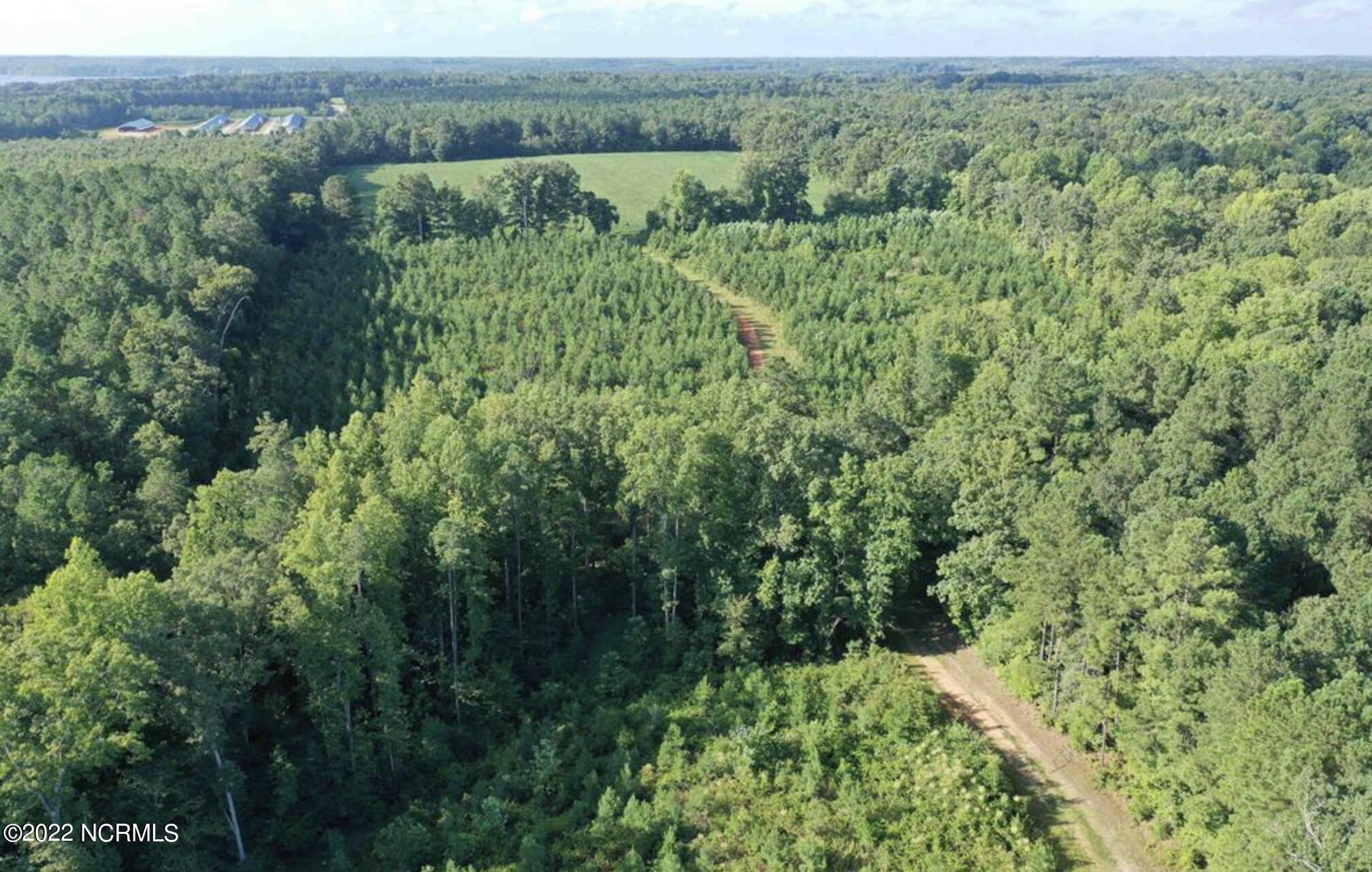 9765 Old Lewis School Road Property Photo 5